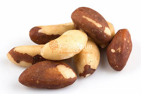 Brazil Nuts Bolivia